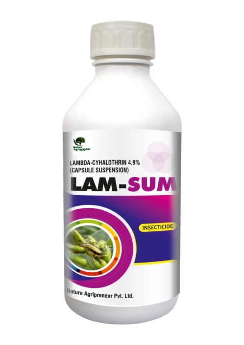 LUM-SUM