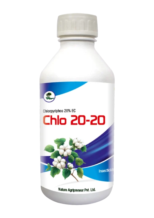 CHLO 20-20