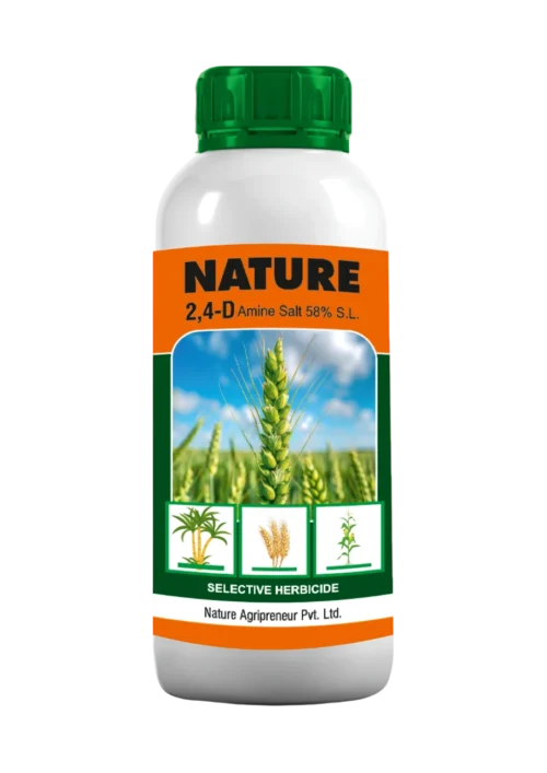 NATURE 2, 4-D