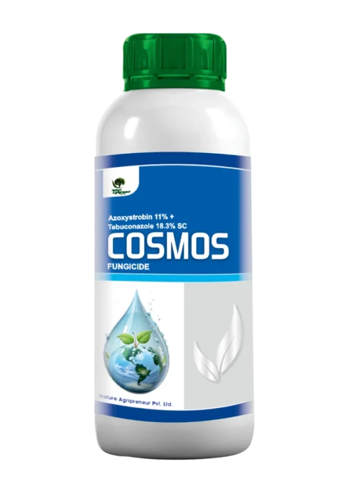COSMOS