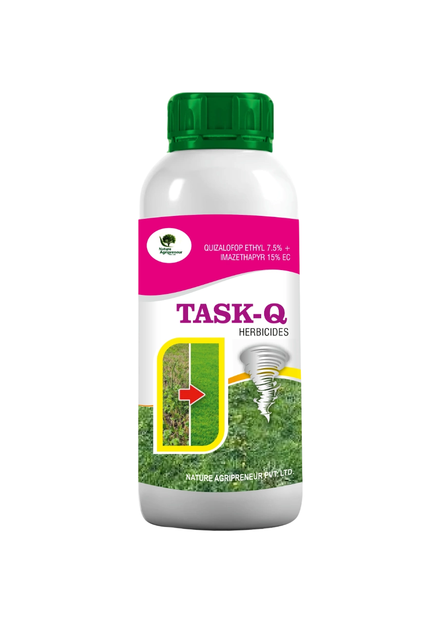 Task Q