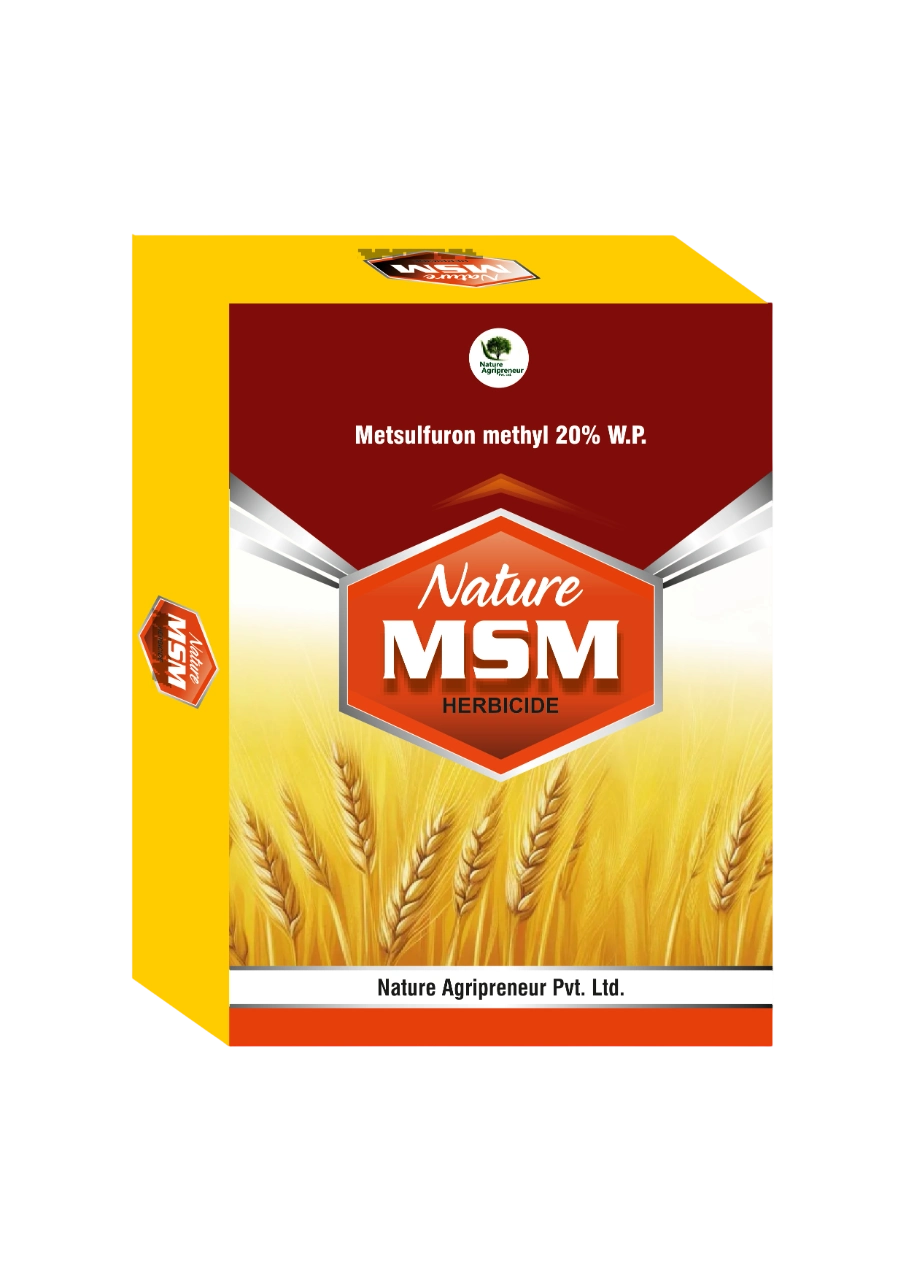 Nature MSM