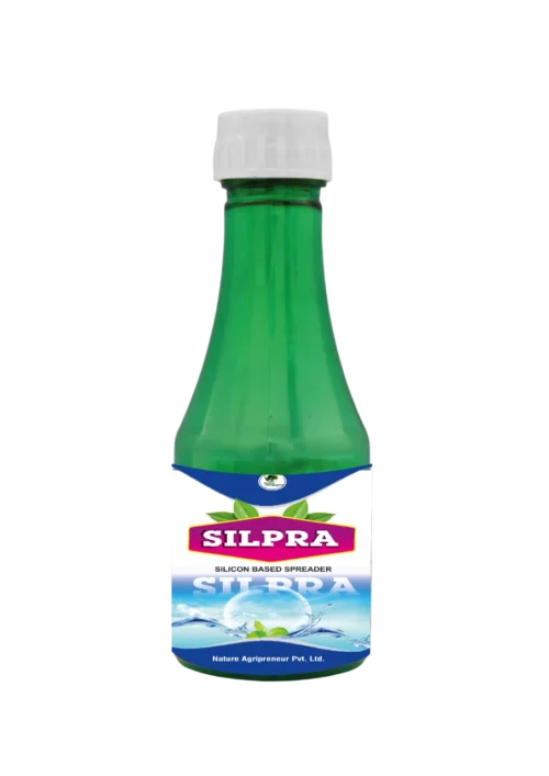 SILPRA Silicon Spreader