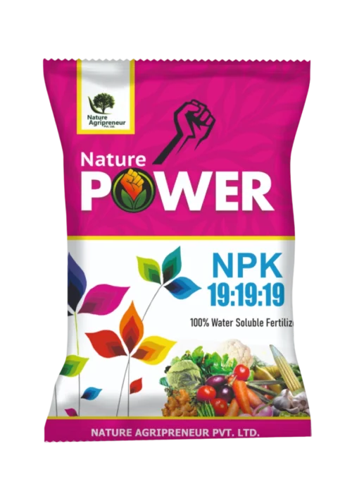 NATURE POWER NPK 19:19:19