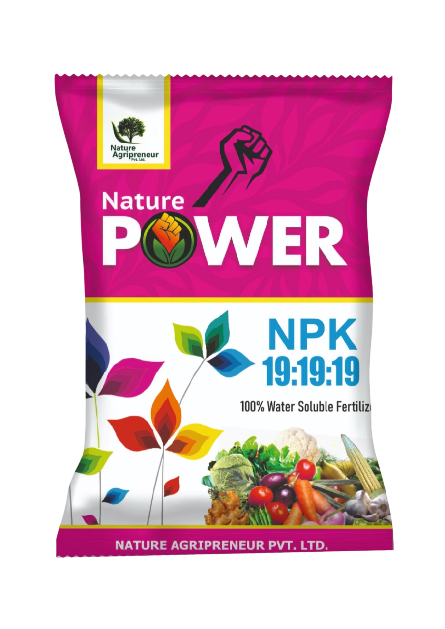 NATURE POWER NPK 19:10:19