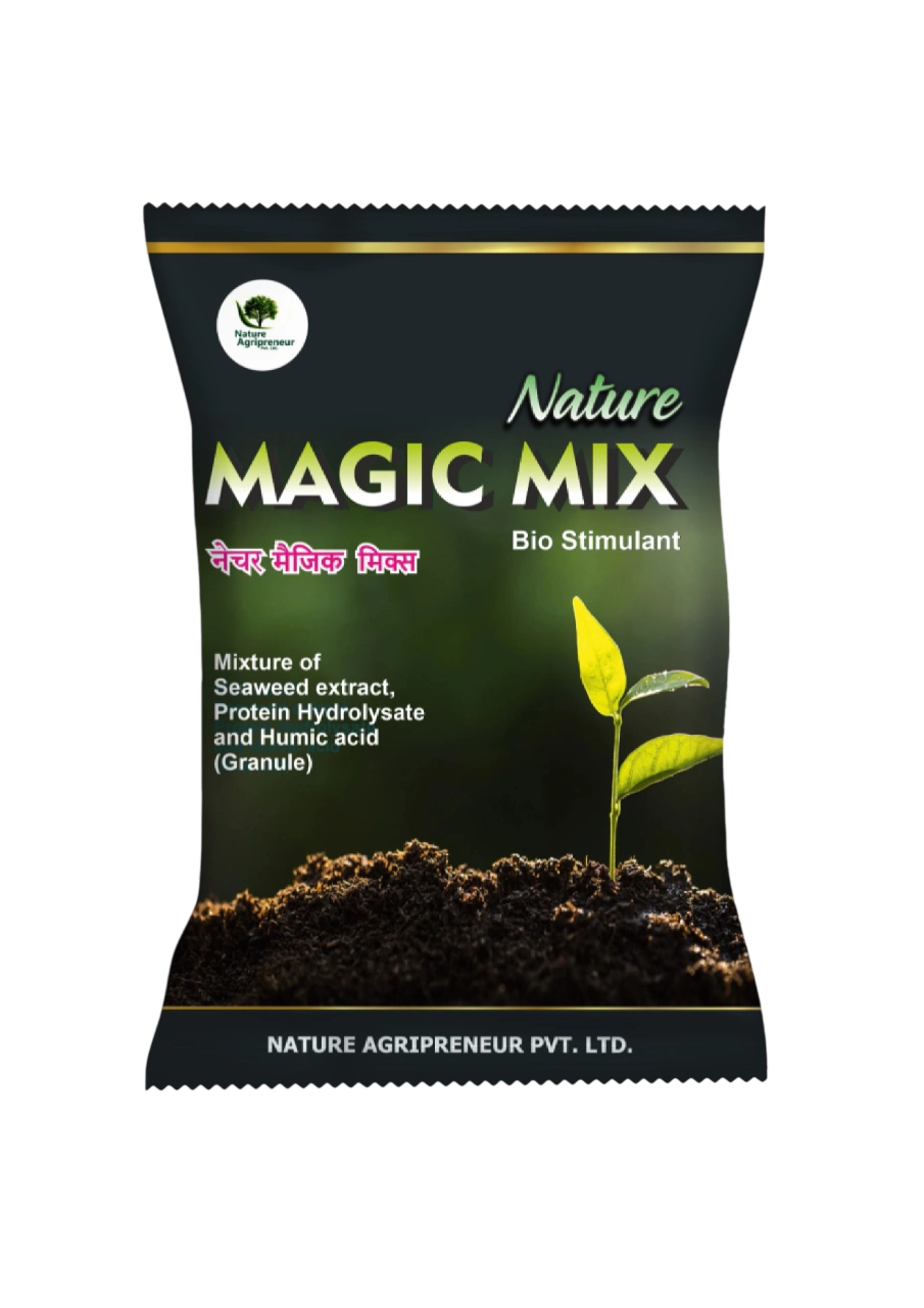 NATURE MAGIC MIX