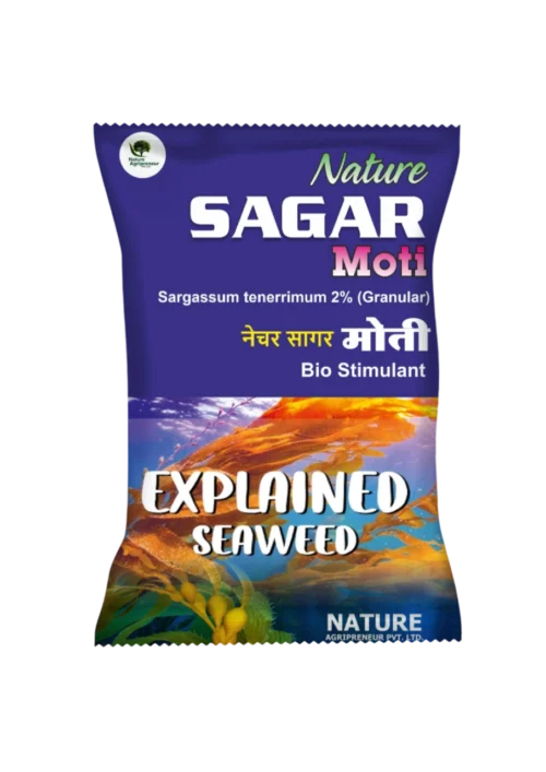 NATURE SAGARMOTI