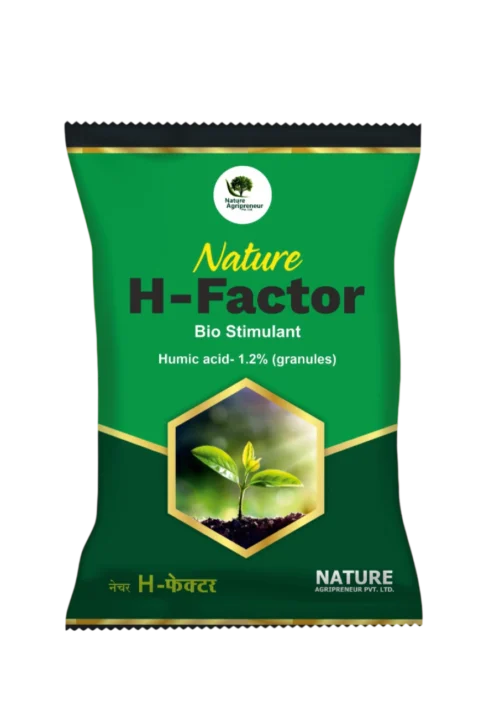 NATURE H-FACTER