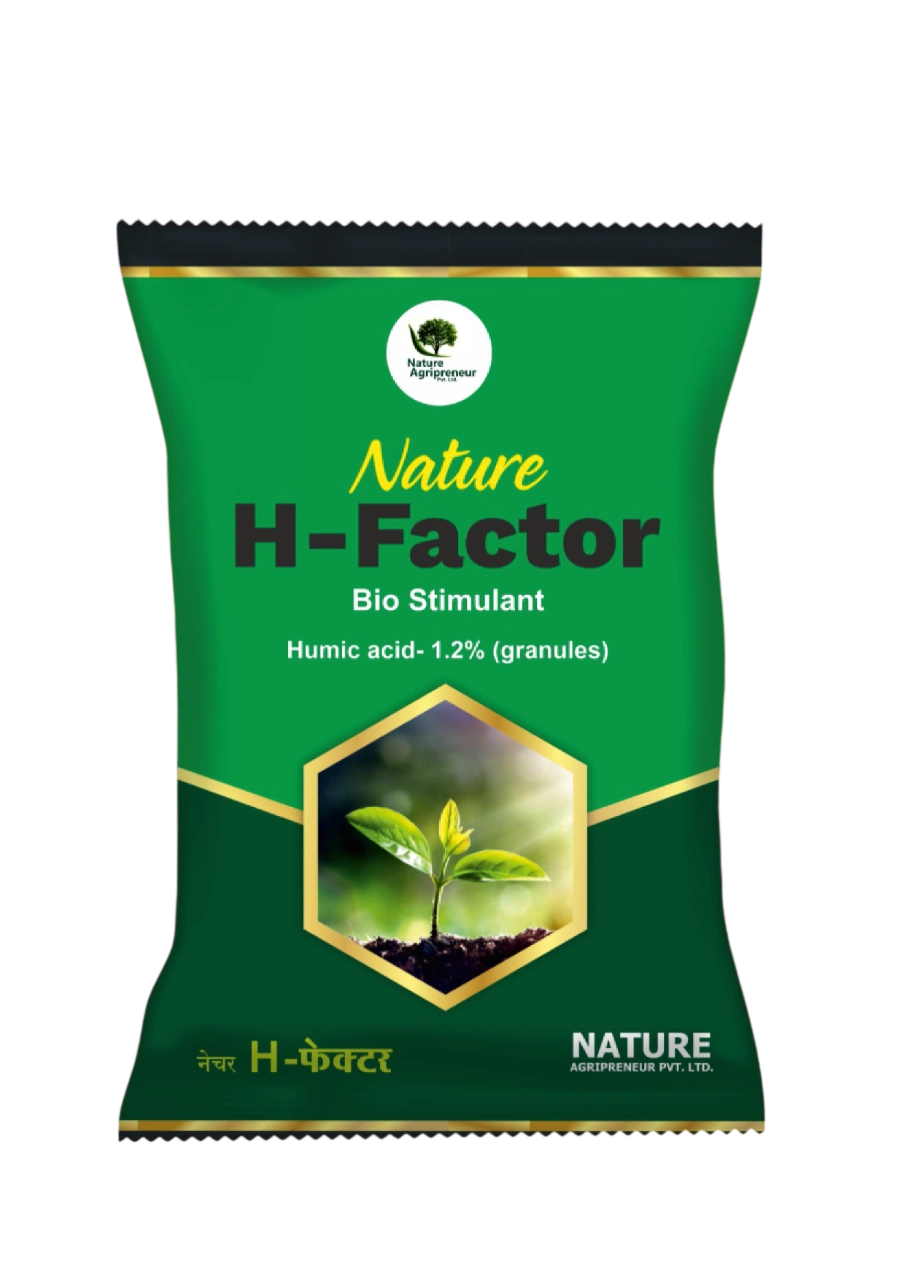 NATURE H-FACTER