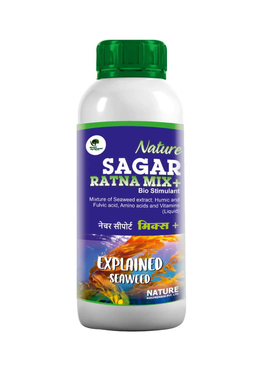 Nature SAGAR RATNA MIX+