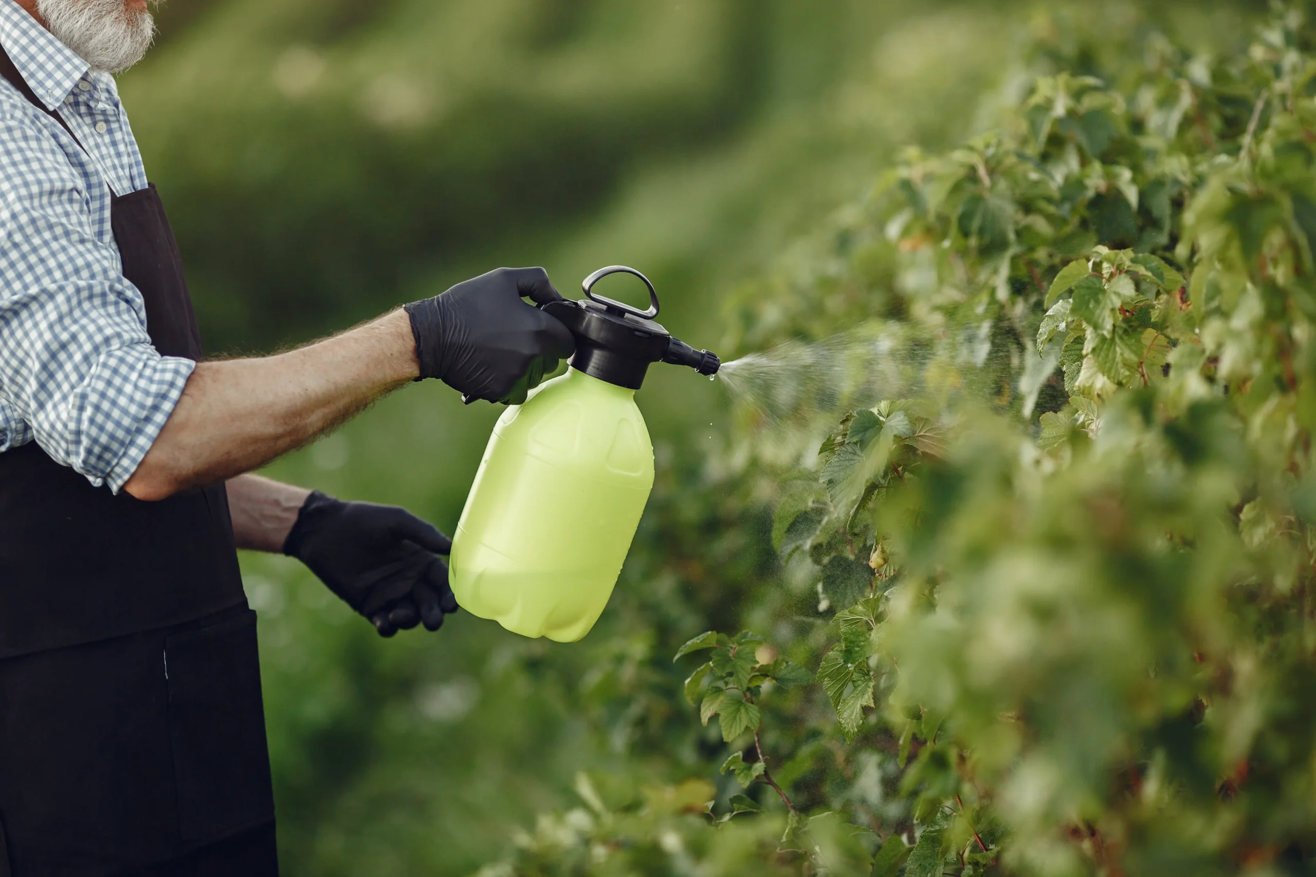 farmer-spraying-vegetables-garden